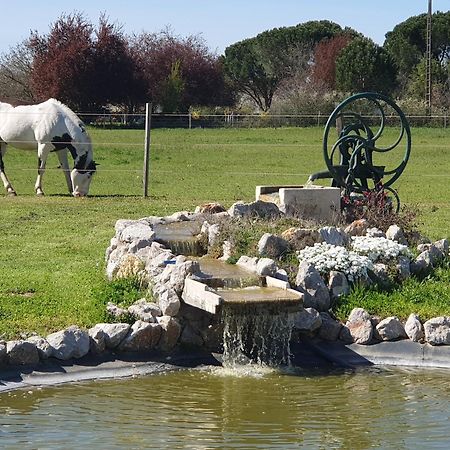 Lisle-sur-Tarn Domaine Christanna B&B 외부 사진