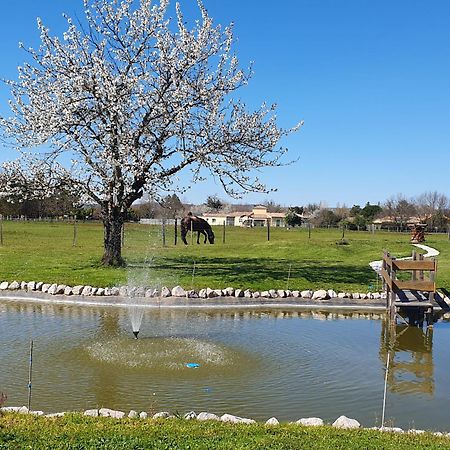Lisle-sur-Tarn Domaine Christanna B&B 외부 사진