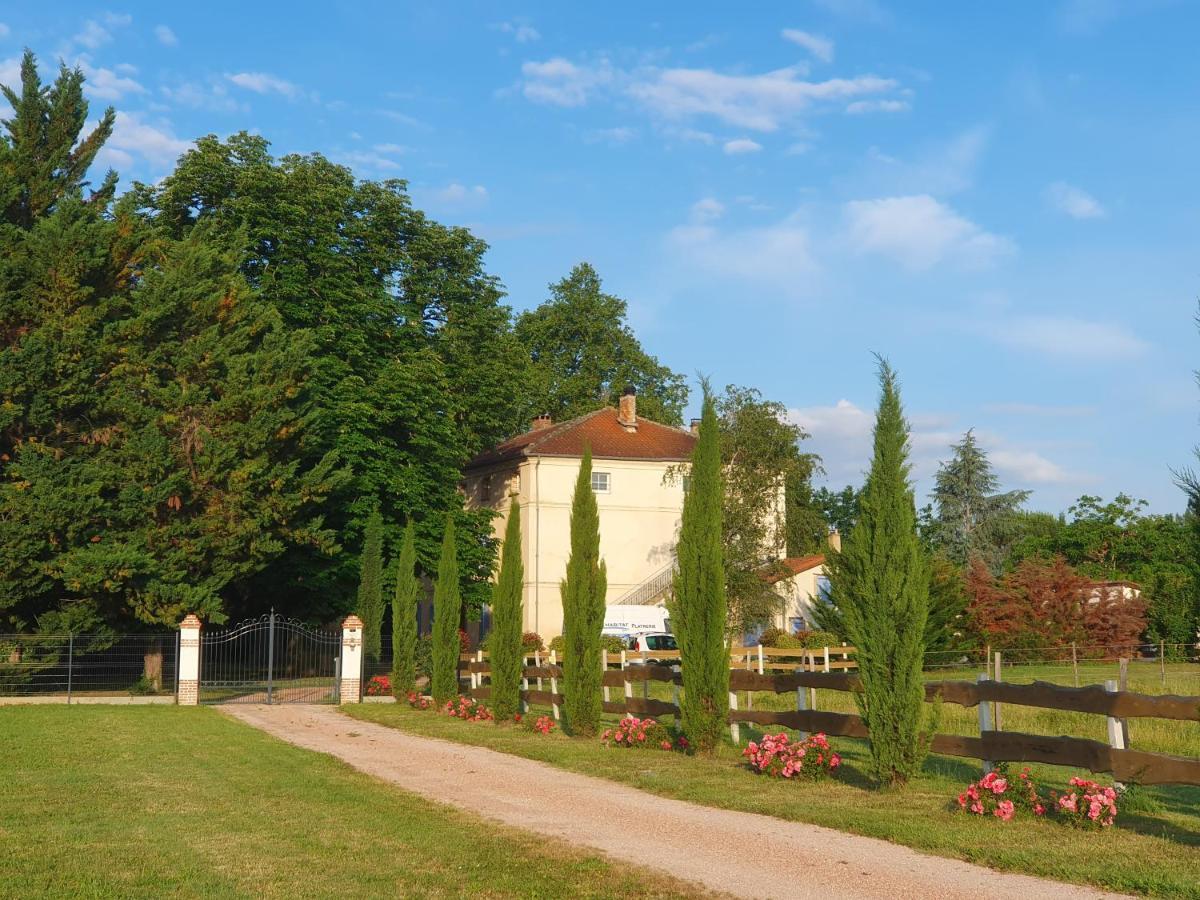 Lisle-sur-Tarn Domaine Christanna B&B 외부 사진
