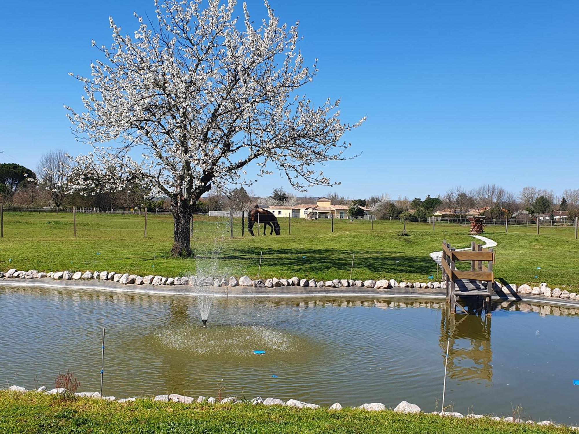 Lisle-sur-Tarn Domaine Christanna B&B 외부 사진